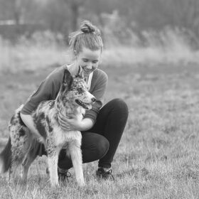 Hondenfoto van Angelique; Bruno, Charlie & Fenna  