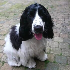 Joy 7,5 maand