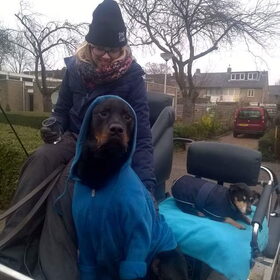 Hondenfoto van Hannah & Bink† en Beertje