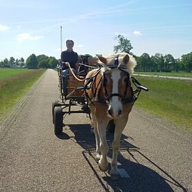 Hondenfoto van Ciska en Spanjaardje Moh (Bambi r.i.p.)