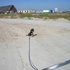Puc op de uitkijk :)
