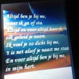 Hondenfoto van Nadine 