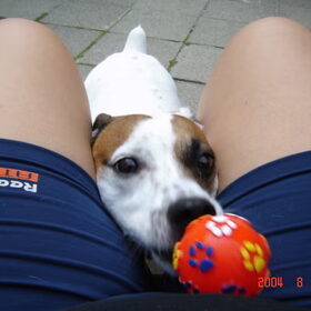 Hier is de bal, spelen maar