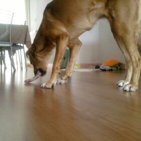 Juist Mila ..zo moet dat.