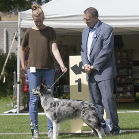 Hondenfoto van Angelique; Bruno, Charlie & Fenna  
