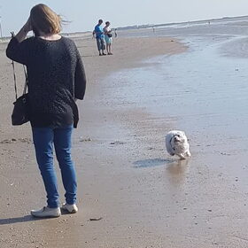 Hondenfoto van Lucia, Lizzy & Ziva