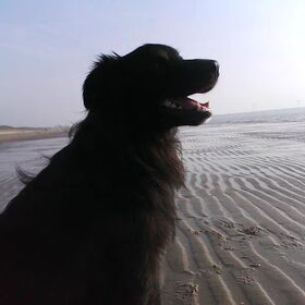 ondergaande zon!