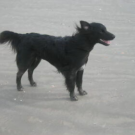 uitwaaien op het strand