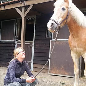 Hondenfoto van Ciska en Spanjaardje Moh (Bambi r.i.p.)