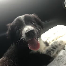 Onder weg naar mijn nieuwe familie!