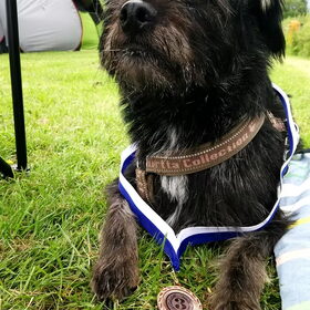 Hondenfoto van Ciska en Spanjaardje Moh (Bambi r.i.p.)