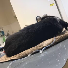 Ik ga je missen lieverd????