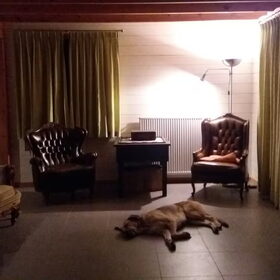 Hondenfoto van Jeanine :)