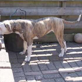 onze lady in de familie darkenwald kaylee s lady dana