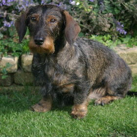 Benthe