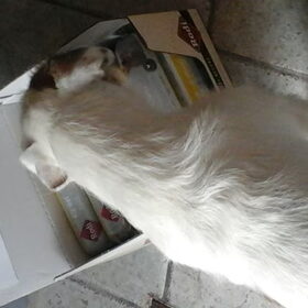 Romeo met zijn gewonnen prijs! 15 Rollen Rodi!