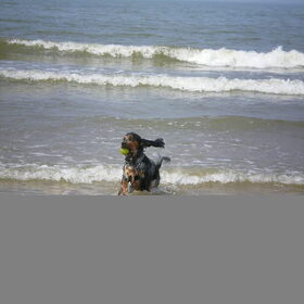 Ik speel heel graag op het strand.