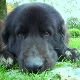 Lieve Billy :)