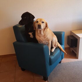 Hondenfoto van laura   Diva&Nova