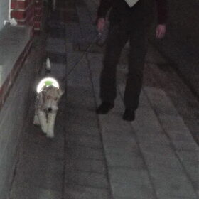 Wandelen in het donker .