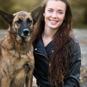 Hondenfoto van Dutchshepherdteam 