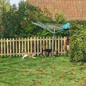 Kat Lucky zit achter pup Loca aan.