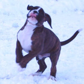 1e x buiten in de sneeuw 7 wkn oud