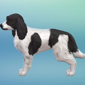 Joy in de Sims4