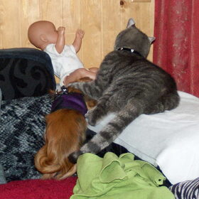 Ik weet niet of dit een liefdevolle omhelzing is van poes Nemo.