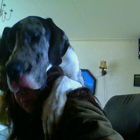 Mag ik ook ff op hondepage