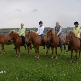 Hondenfoto van Dutchshepherdteam 
