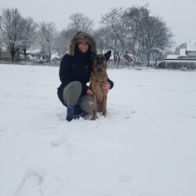 Hondenfoto van Dutchshepherdteam 