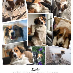 Collage van Rieki