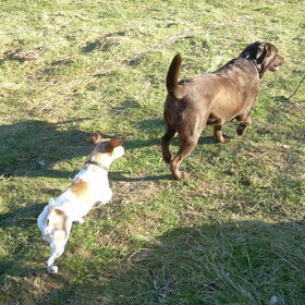 Spikey & Raisa