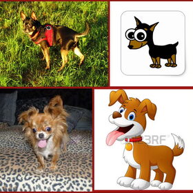 Balou en Lotus hun cartoonfiguurtjes.