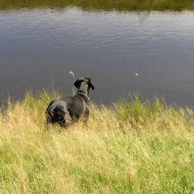 Zou ik dat durven er zomaar in te springen.....nou nee hoor,doe…