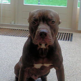 Lieve papa Spikey!