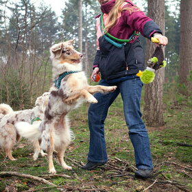 Hondenfoto van Danielle, Kyra*Kaylin*, Djaira en Djaidey