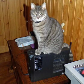 Nemo op de computer.