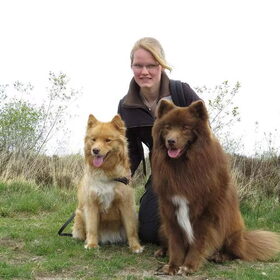 Hondenfoto van Marijke - Aila, Dinja & Evi