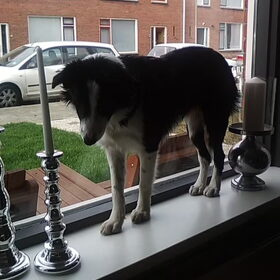 Mag toch? Of misschien toch niet... Voel me heus niet betrapt…