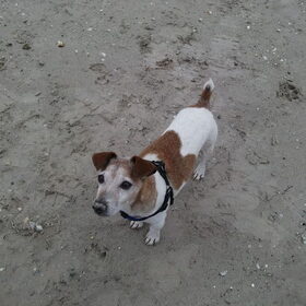 Ik heb zand op mijn neusje!!!