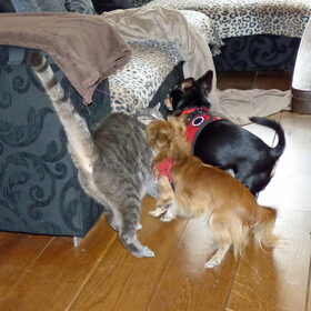 Samen Nemo belagen.