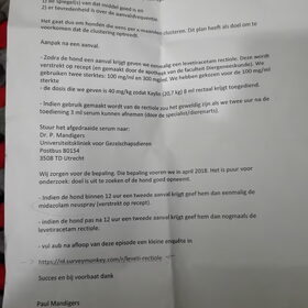 Hondenfoto van Danielle, Kyra*Kaylin*, Djaira en Djaidey
