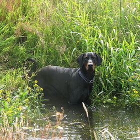 Lekker even pootje baden met die warmte