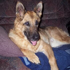 Dit is Celia. Ze werd geboren op 2 januari 1998 en overleed op…