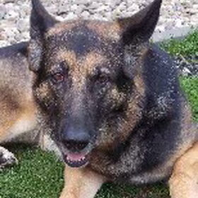 Dit is Roos. Ze werd geboren op 28 januari 2000 en is de dochter…