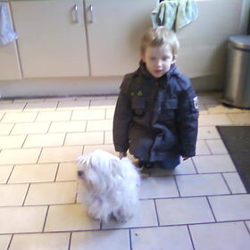 mijn broertje en westie