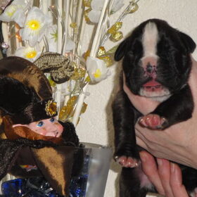 Senna 8 dagen oud