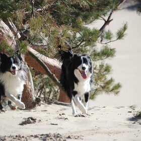 Jake en Lynn